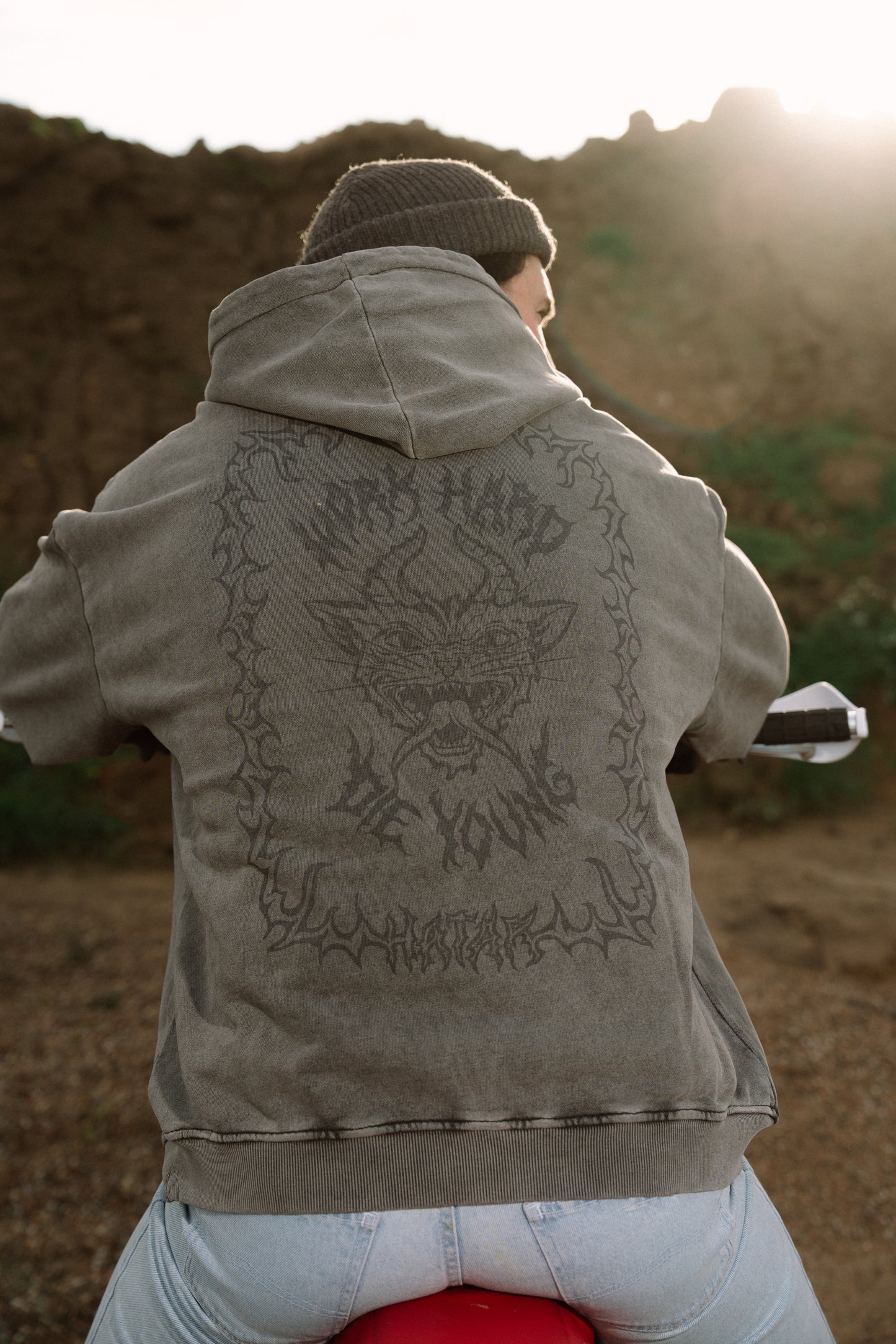 WORK HARD DIE YOUNG HOODIE